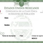 CURP para conseguir un trabajo